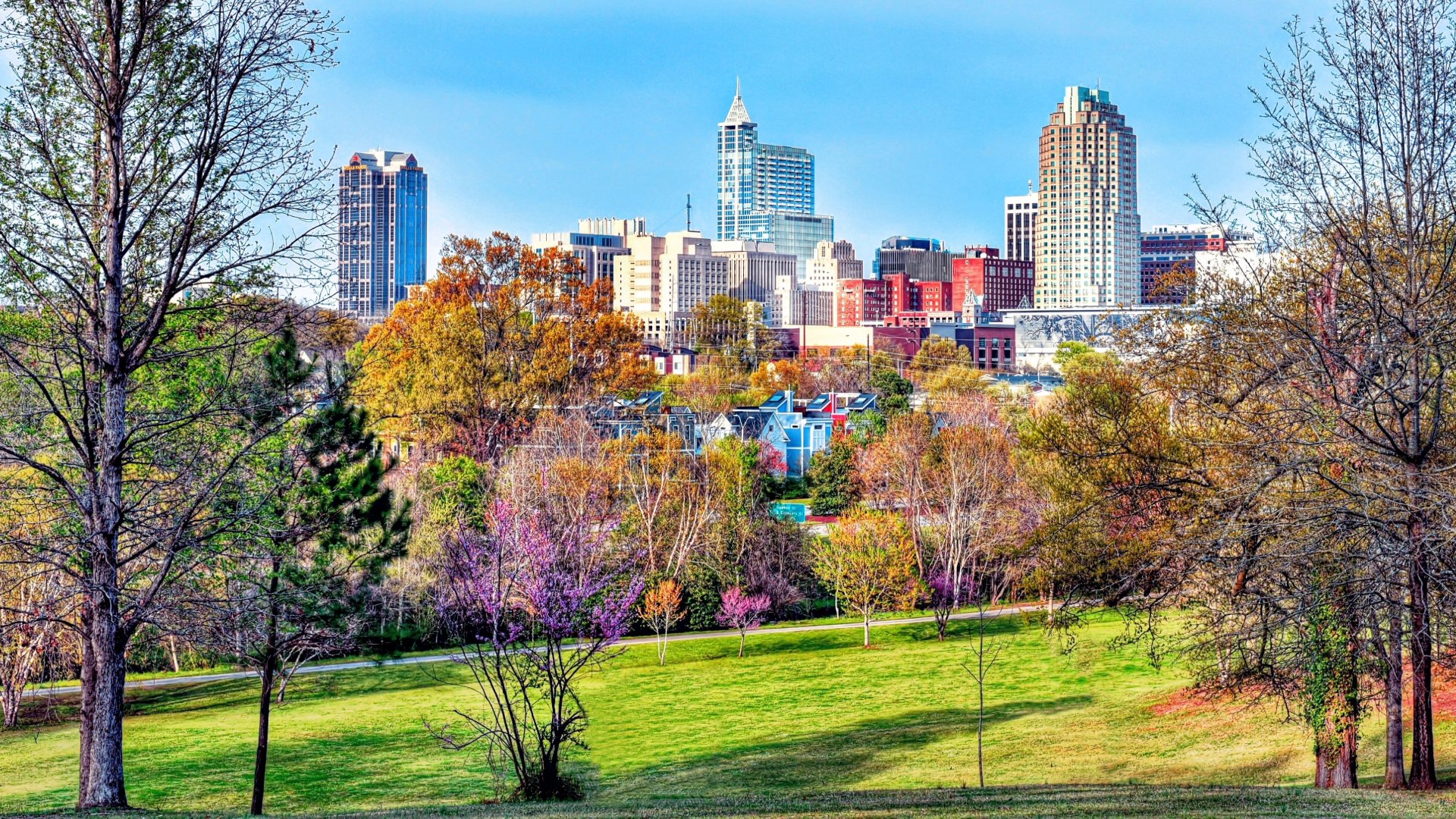 HIRO to Attend the SCDM Annual Conference 2026 in Raleigh, North Carolina